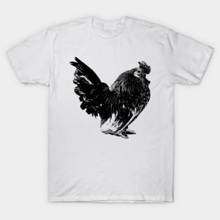 chicken, animal, poultry, farm, agriculture, feathers, plumage, livestock, farm animal, nature T-Shirt